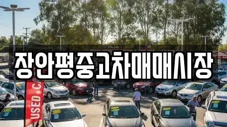 서울특별시 용산구 원효로4가 중고차 전문 장안평중고차매매시장