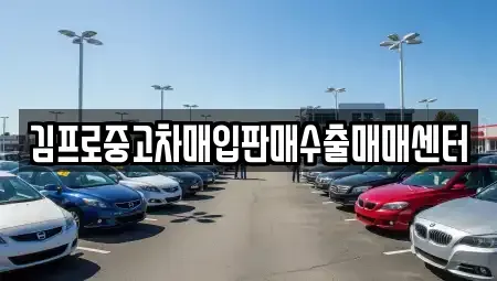 서울특별시 용산구 원효로4가 중고차매입 전문 김프로중고차매입판매수출매매센터