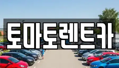 서울특별시 용산구 이촌동 렌트카 전문 토마토렌트카