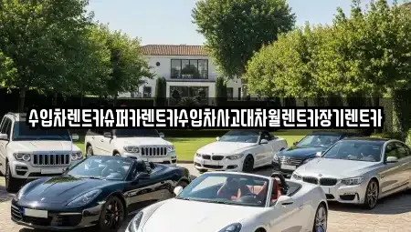 서울특별시 용산구 이촌동 장기렌트카 전문 수입차렌트카슈퍼카렌트카수입차사고대차월렌트카장기렌트카