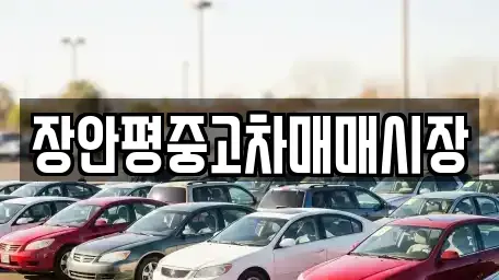 서울특별시 용산구 이촌동 중고차 전문 장안평중고차매매시장