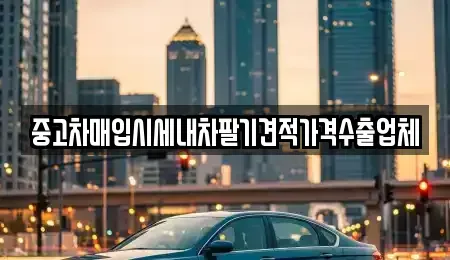 서울특별시 용산구 이촌동 중고차 전문 중고차매입시세내차팔기견적가격수출업체