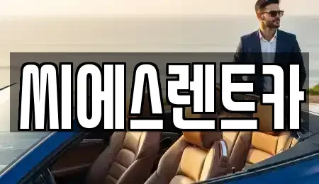 서울특별시 용산구 한남동 렌트카 전문 씨에스렌트카