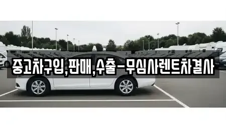 서울특별시 용산구 한남동 중고차 전문 중고차구입,판매,수출-무심사렌트차결사