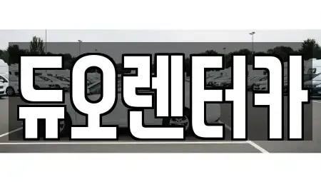 서울특별시 종로구 종로3가 렌트카 전문 듀오렌터카