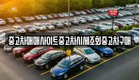서울특별시 종로구 종로3가 중고차 전문 중고차매매사이트중고차시세조회중고차구매