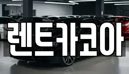 서울특별시 중구 남산동2가 렌트카 전문 렌트카코아