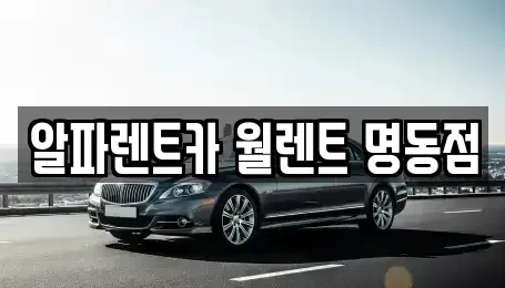 서울특별시 중구 남산동2가 렌트카 전문 알파렌트카 월렌트 명동점