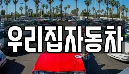 서울특별시 중구 남산동2가 중고차 전문 우리집자동차