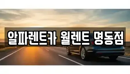 서울특별시 중구 을지로4가 렌트카 전문 알파렌트카 월렌트 명동점