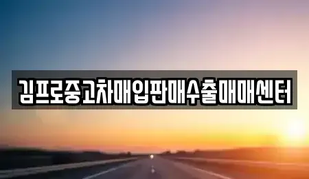 서울특별시 중구 을지로4가 중고차 전문 김프로중고차매입판매수출매매센터