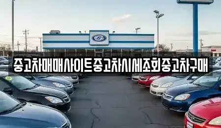 서울특별시 중구 을지로4가 중고차 전문 중고차매매사이트중고차시세조회중고차구매
