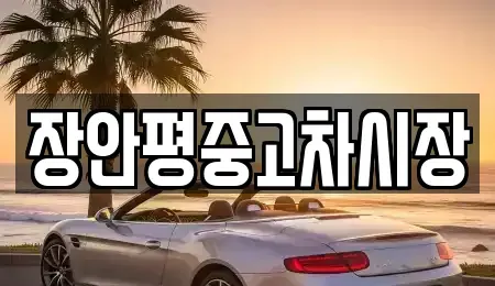 서울특별시 중구 을지로4가 중고차매매 전문 장안평중고차시장