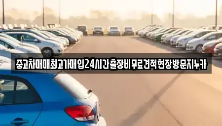 서울특별시 중구 을지로4가 중고차매입 전문 중고차매매최고가매입24시간출장비무료견적현장방문지누카
