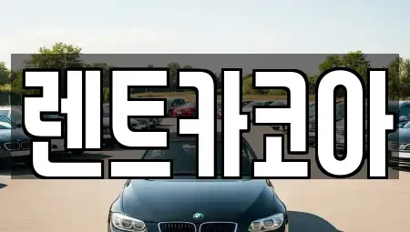 서울특별시 중구 저동1가 렌트카 전문 렌트카코아