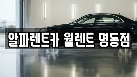 서울특별시 중구 저동1가 렌트카 전문 알파렌트카 월렌트 명동점