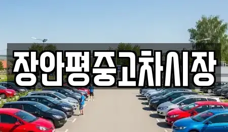 서울특별시 중구 저동1가 중고차 전문 장안평중고차시장