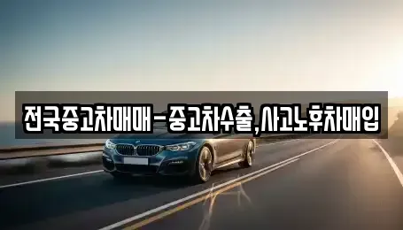 서울특별시 중구 저동1가 중고차 전문 전국중고차매매-중고차수출,사고노후차매입