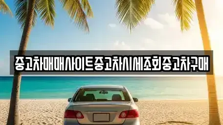 서울특별시 중구 저동1가 중고차 전문 중고차매매사이트중고차시세조회중고차구매