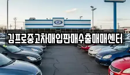 서울특별시 중구 저동1가 중고차매입 전문 김프로중고차매입판매수출매매센터