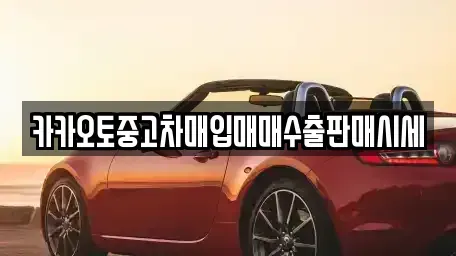 서울특별시 중구 저동1가 중고차매입 전문 카카오토중고차매입매매수출판매시세