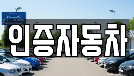 서울특별시 중구 충정로1가 중고차 전문 인증자동차