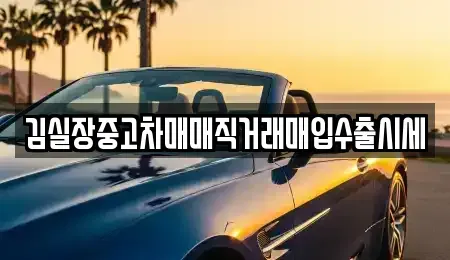 서울특별시 중구 충정로1가 중고차매입 전문 김실장중고차매매직거래매입수출시세