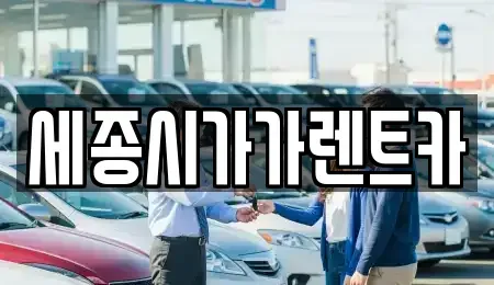 세종특별자치시 금남면 단기렌트카 전문 세종시가가렌트카