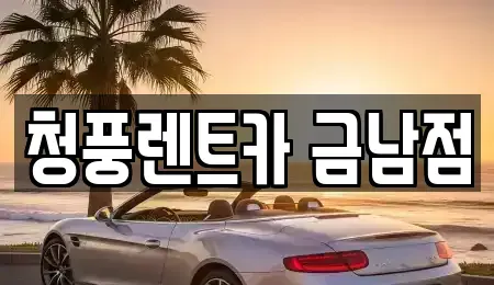 세종특별자치시 금남면 렌트카 전문 청풍렌트카 금남점