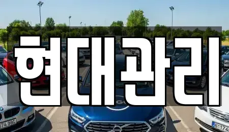 세종특별자치시 금남면 렌트카 전문 현대관리