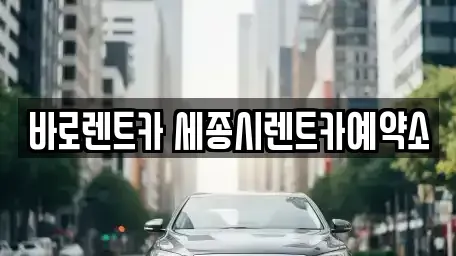 세종특별자치시 금남면 장기렌트카 전문 바로렌트카 세종시렌트카예약소