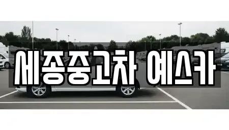 세종특별자치시 금남면 중고차매매 전문 세종중고차 예스카