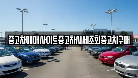 세종특별자치시 금남면 중고차매매 전문 중고차매매사이트중고차시세조회중고차구매