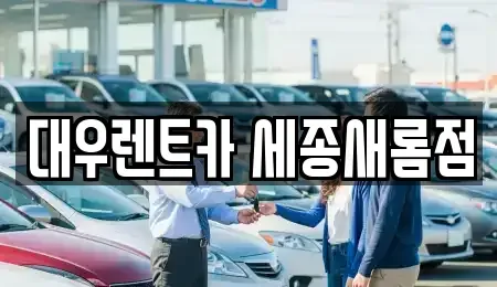 세종특별자치시 새롬동 렌트카 전문 대우렌트카 세종새롬점