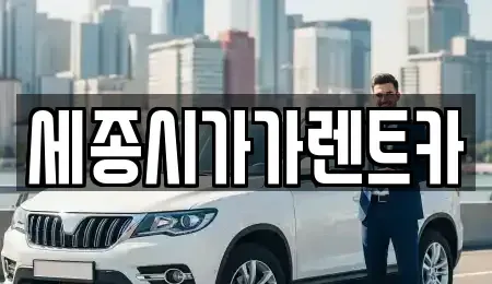 세종특별자치시 새롬동 렌트카 전문 세종시가가렌트카