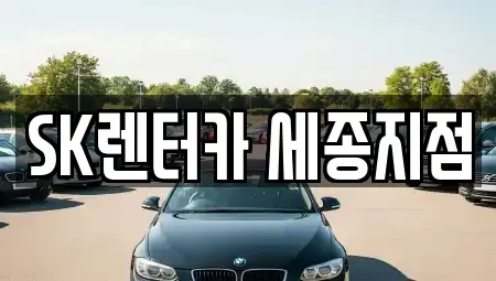 세종특별자치시 새롬동 장기렌트카 전문 SK렌터카 세종지점