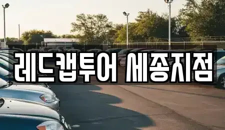 세종특별자치시 새롬동 장기렌트카 전문 레드캡투어 세종지점