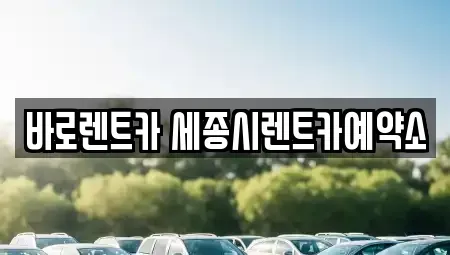 세종특별자치시 새롬동 장기렌트카 전문 바로렌트카 세종시렌트카예약소