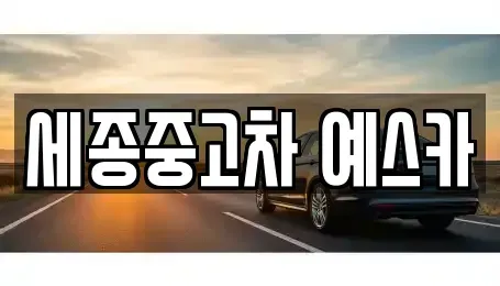 세종특별자치시 새롬동 중고차매매 전문 세종중고차 예스카