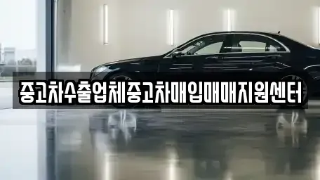 세종특별자치시 새롬동 중고차매매,단기렌트카,중고차매입,장기렌트카,중고차,렌트카
