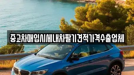 세종특별자치시 새롬동 중고차매입 전문 중고차매입시세내차팔기견적가격수출업체