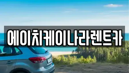 세종특별자치시 한별동 렌트카 전문 에이치케이나라렌트카