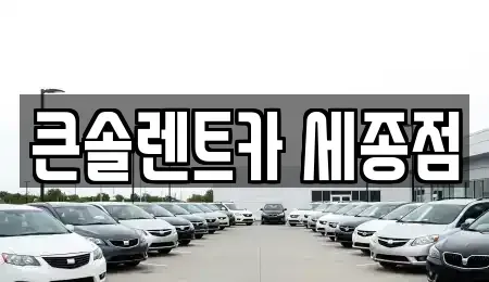 세종특별자치시 한별동 렌트카 전문 큰솔렌트카 세종점