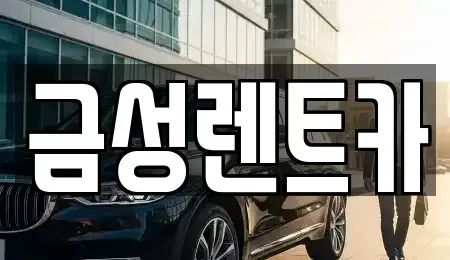 울산 울주군 범서읍 렌트카 전문 금성렌트카
