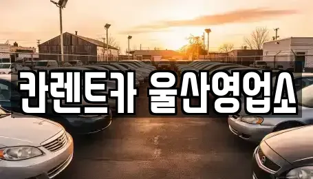 울산 울주군 범서읍 렌트카,단기렌트카,장기렌트카,중고차,중고차매매,중고차매입