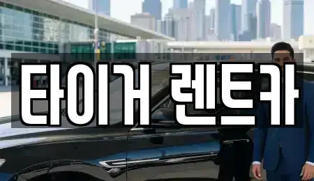 울산광역시 남구 달동 렌트카 전문 타이거 렌트카