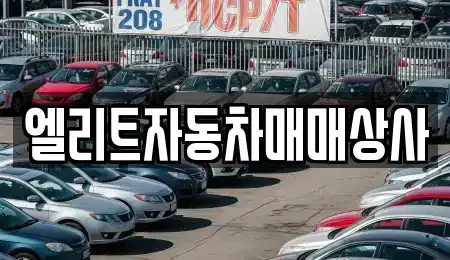 울산광역시 남구 달동 중고차 전문 엘리트자동차매매상사