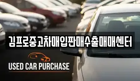 울산광역시 동구 전하동 중고차매매 전문 김프로중고차매입판매수출매매센터