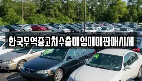 울산광역시 동구 전하동 중고차매매,단기렌트카,중고차매입,장기렌트카,중고차,렌트카