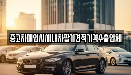 울산광역시 동구 전하동 중고차매입 전문 중고차매입시세내차팔기견적가격수출업체